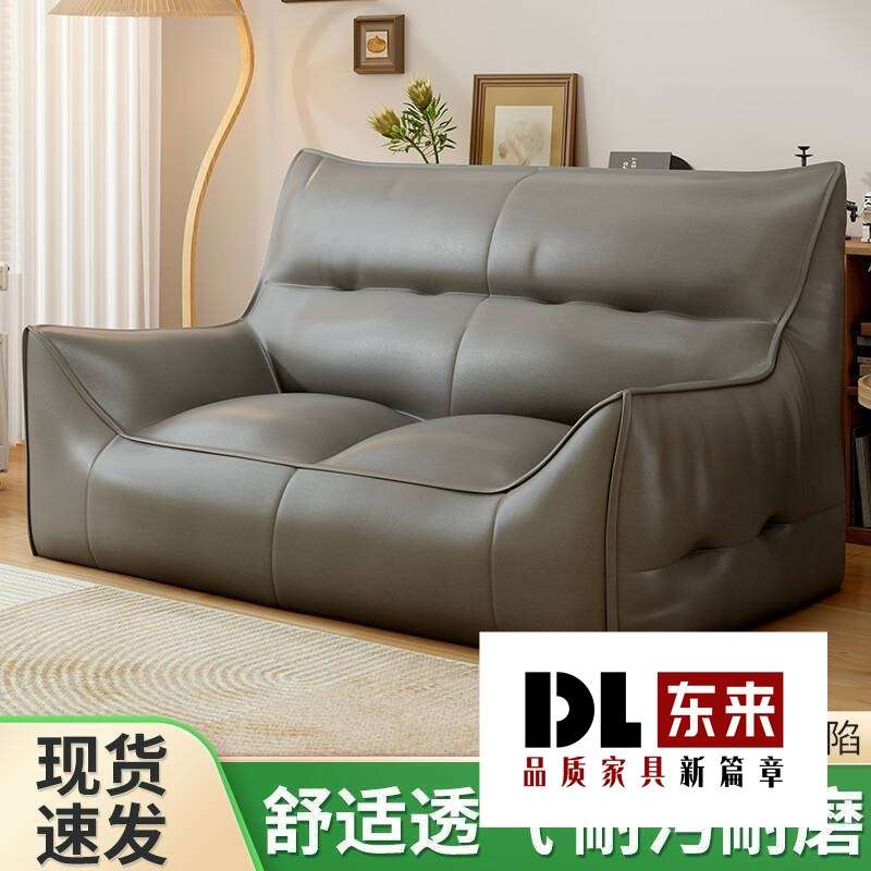 双人高品质沙发网红懒人沙发小户型出租屋情侣房间装饰出租房沙发