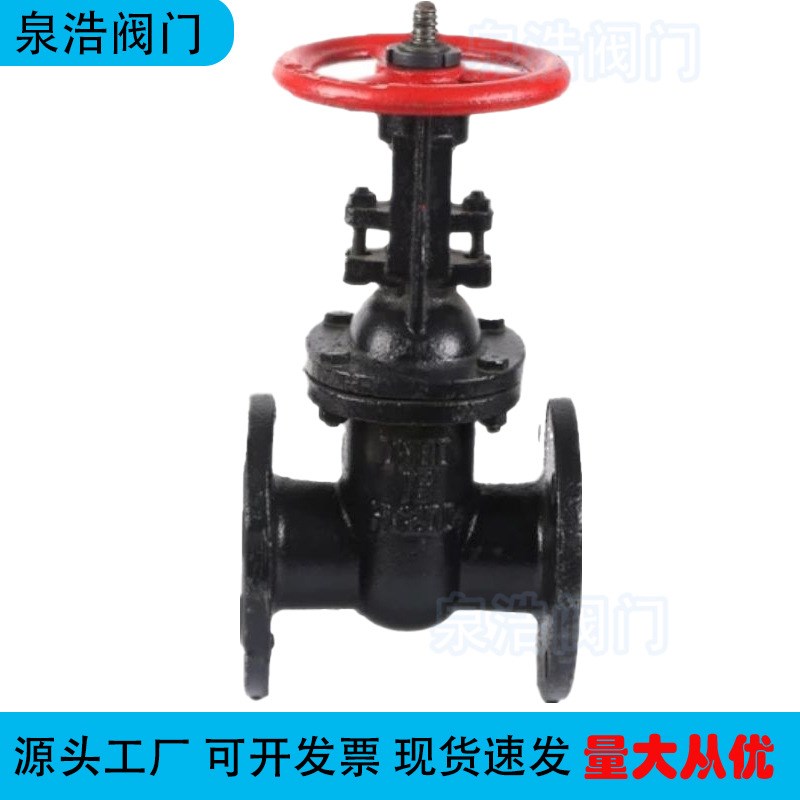 Z41T铸铁闸阀铸铁铜芯手动明杆闸阀给排水闸板阀门开关螺纹