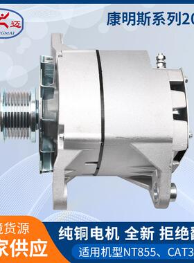 适用于康明斯3016627发电机康明斯NT855发电机4060811JFZ231/20SI