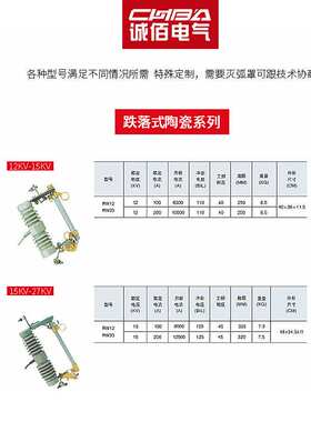 高压跌落式熔断器HRW12-12KV/100A200A陶瓷式户外硅橡胶令克开关