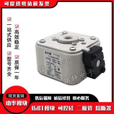 熔断器170M6308 170M6309 170M6310 170M6311 170M6312 170M6313
