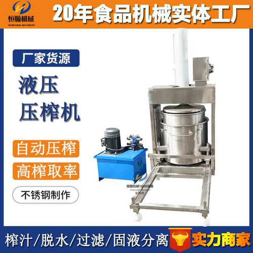 海南清补凉椰子汁提取压榨机沙漠沙棘刺梨原浆压榨机 杨梅压榨机