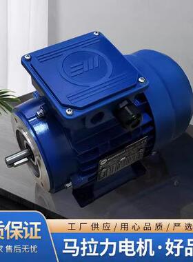 marellimotor进口电机 意大利marellimotori电机 MAA180L4/18.5KW