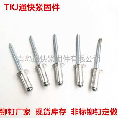 GB∕T 12618.1-2006 开口型平圆头抽芯铆钉 10、11级 铝铁拉铆钉