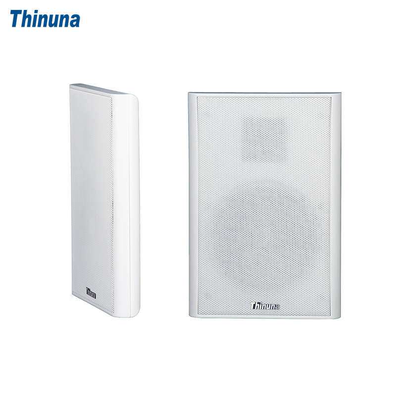 Thinuna XS-25 薄身平板音箱学校餐厅办公室背景音乐喇叭音响设备