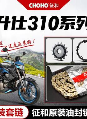 升仕S310套链ZT310-X-R-T-V 单摇臂原厂大小链轮牙盘征和油封链条