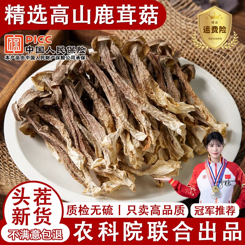 5A精品鹿茸菇干货特级500g正品官方旗舰店香菇蘑菇新鲜云南脆脆菇