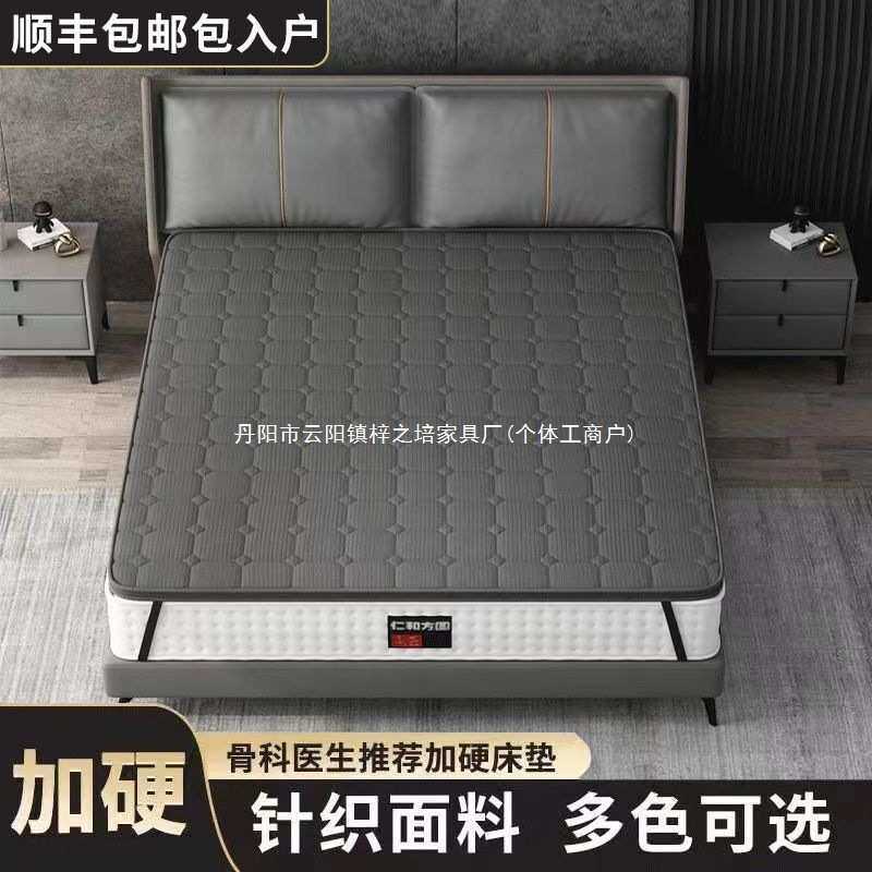 舒适床垫加硬垫护腰护脊椎软床垫加硬神器席梦思加硬垫 3厚床垫子