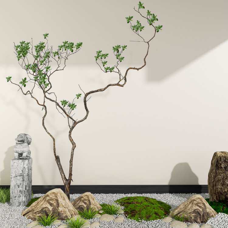枯树大型造型马醉木树装饰真树干黄柏树大型落地造景装饰干树枝