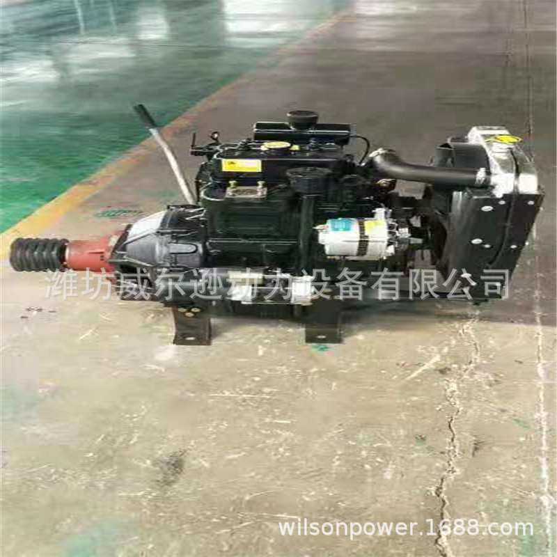 供应柴油发动机 双缸2110柴油机搅拌机柴油发动机 小型2110 2105