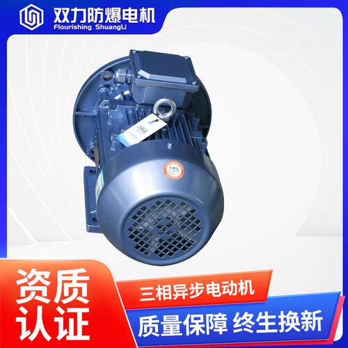 双力YE3/YX4系列三相异步电动机380V国标二极能效全铜线电动机