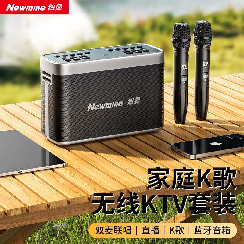 纽曼N505话筒音箱家庭ktv音响套装家用音箱手提双话筒K歌麦克风