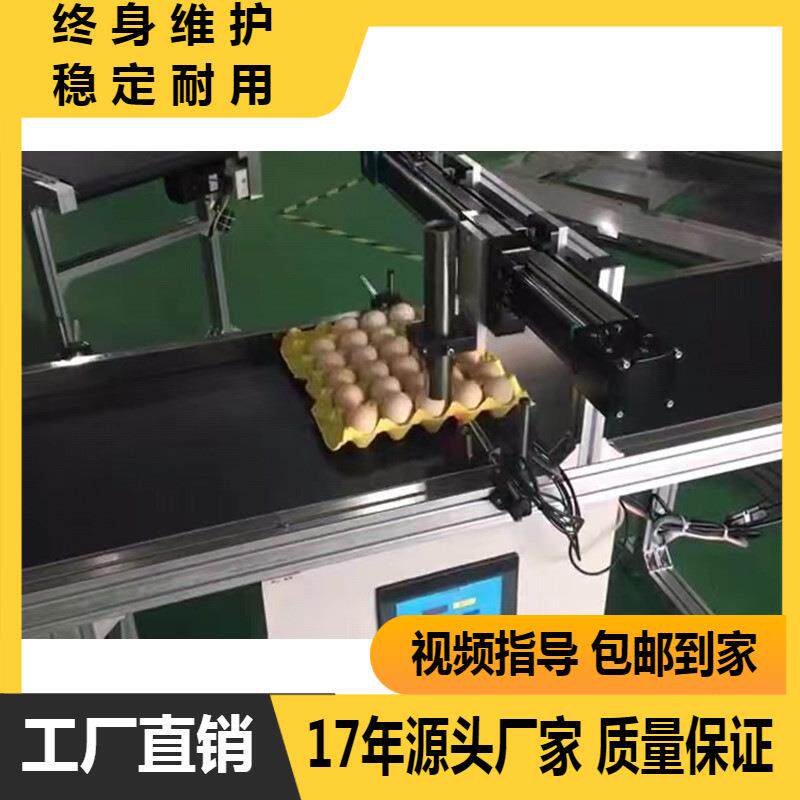 全自动喷码机鸡蛋打码生产流水线输送带传输带
