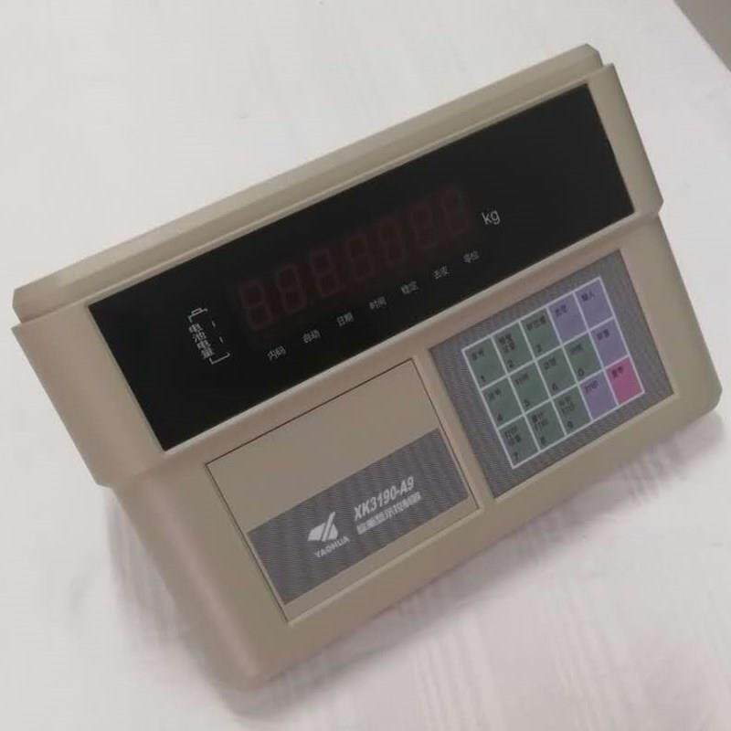 称重仪表XK3190-A9b4特征11版静态称重数字显示输入范围大发快递