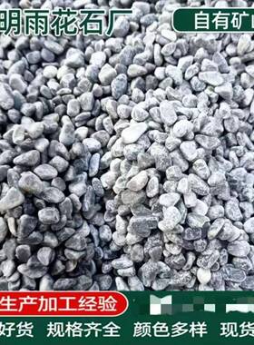 灰色水洗石庭院枯山水石子工程铺路洗米石碎石水磨石园林