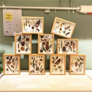 标本相框中空立体diy手工植物树叶果实种子标本展示框创意摆台