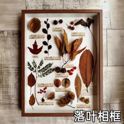 立体捡秋树叶干花植物diy相框