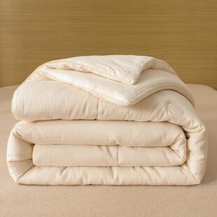 A类不染 冬被全棉柔软大豆纤维丝棉被被芯纯棉春秋被四季用被子