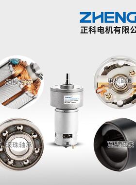 Z转GB60M微型可速正反大力矩永磁直YPJ调流减速电机马达R12V24V