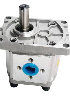 CBNF3CLE06齿轮泵CBN轮系列高压齿泵叉车-齿轮泵边立式