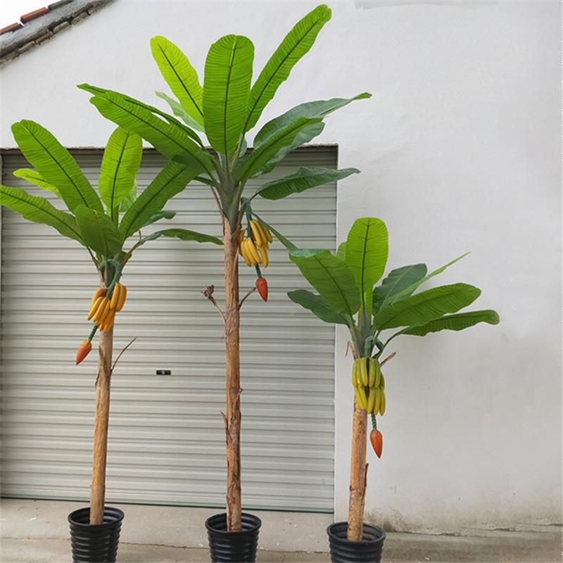 真植物树假装铺带果芭蕉香