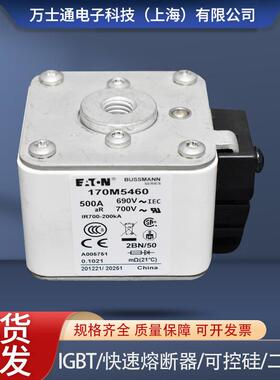 熔断器170M5458 170M5459 170M5460 170M5461 170M5462 170M5463