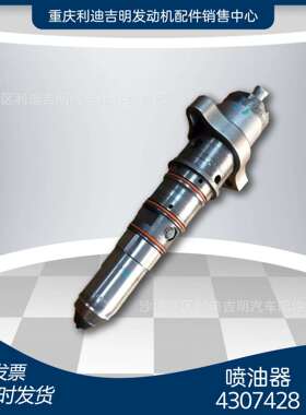k19银色黑色白色喷油嘴柴油发电机组配件4307428喷油器零件