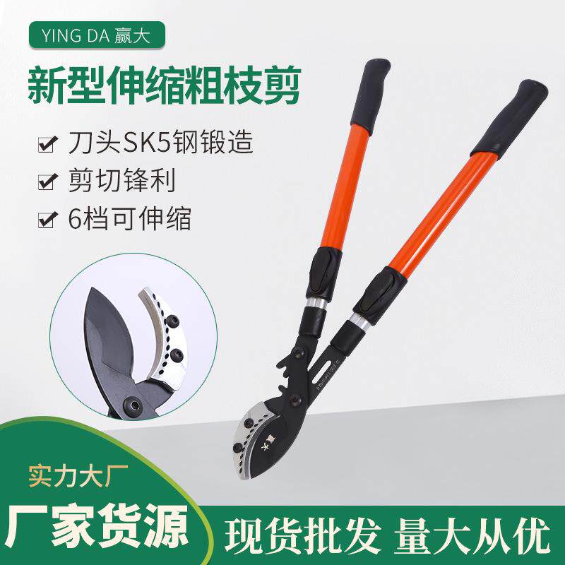 赢大新型伸缩粗枝剪大力剪园林园艺伸缩果树剪摘果剪园林工具