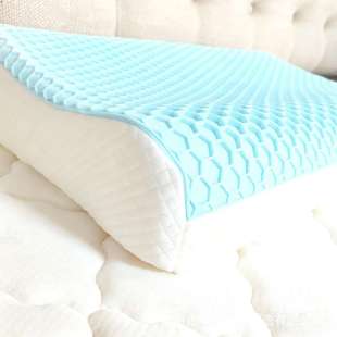 升级护颈椎释压记忆枕果胶枕头睡眠护枕芯家用慢回弹记忆海绵枕芯