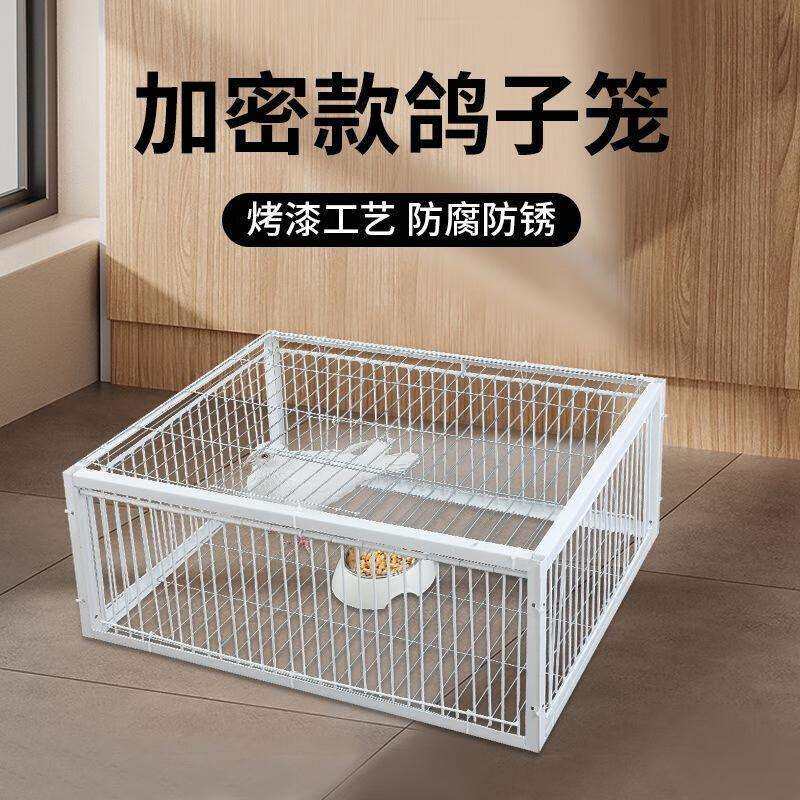 ~鸽子用品用具鸽子活络门撞门信鸽赛鸽用品加厚加密回笼门鸽具碰