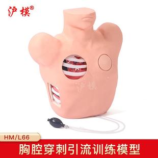 沪模L66胸腔穿刺引流模型气胸处理教学模型培训演示用引流模型