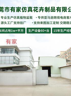 RFY仿装真绿植柠檬树盆栽室内树客厅饰景假盆仿真树室内绿植摆件