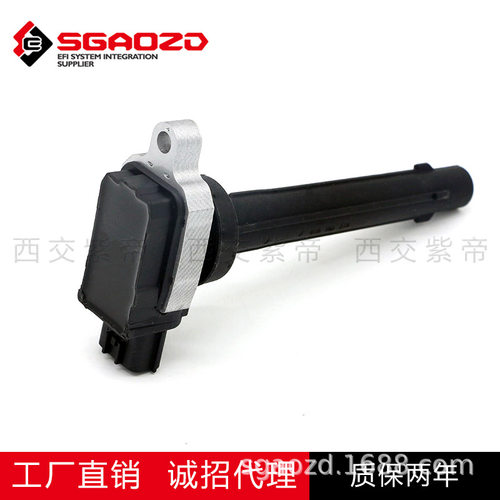 适用于东风风神A60 1.6/2.0L点火线圈OE高压包2501002,F01R00A056