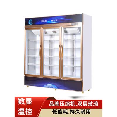 商用保鲜冷双门蔬菜水果柜柜铜管立式冷饮藏柜冰柜展示CMO柜饮料