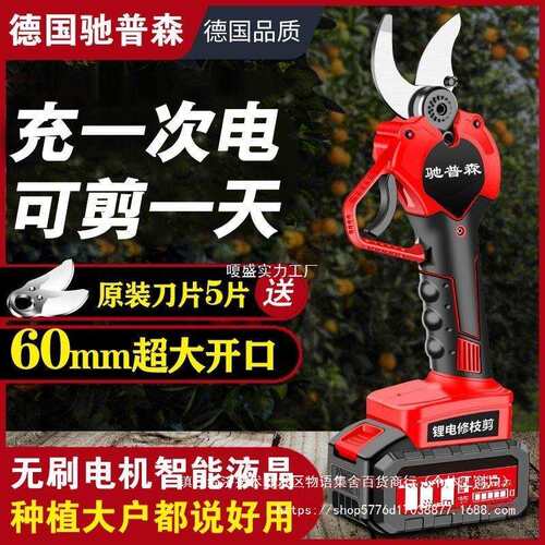 德国进口电动修枝剪果树粗枝剪刀充电式无线锂电园艺树枝电剪其他