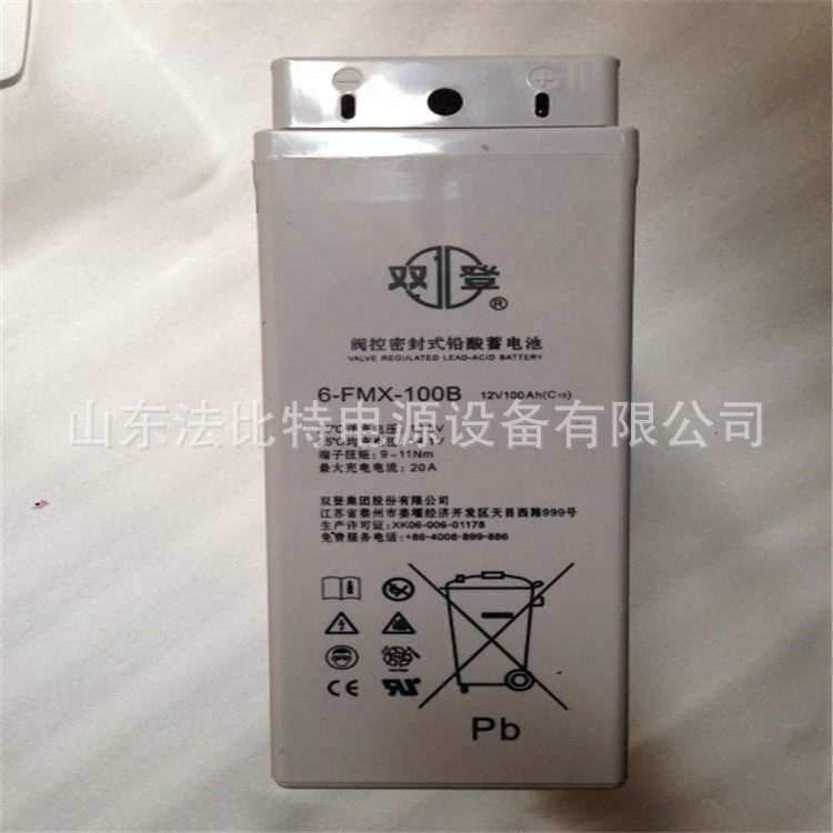 双登狭长蓄电池6-FMX-100B/12V100AH通讯基站/狭长6-FMX-100B