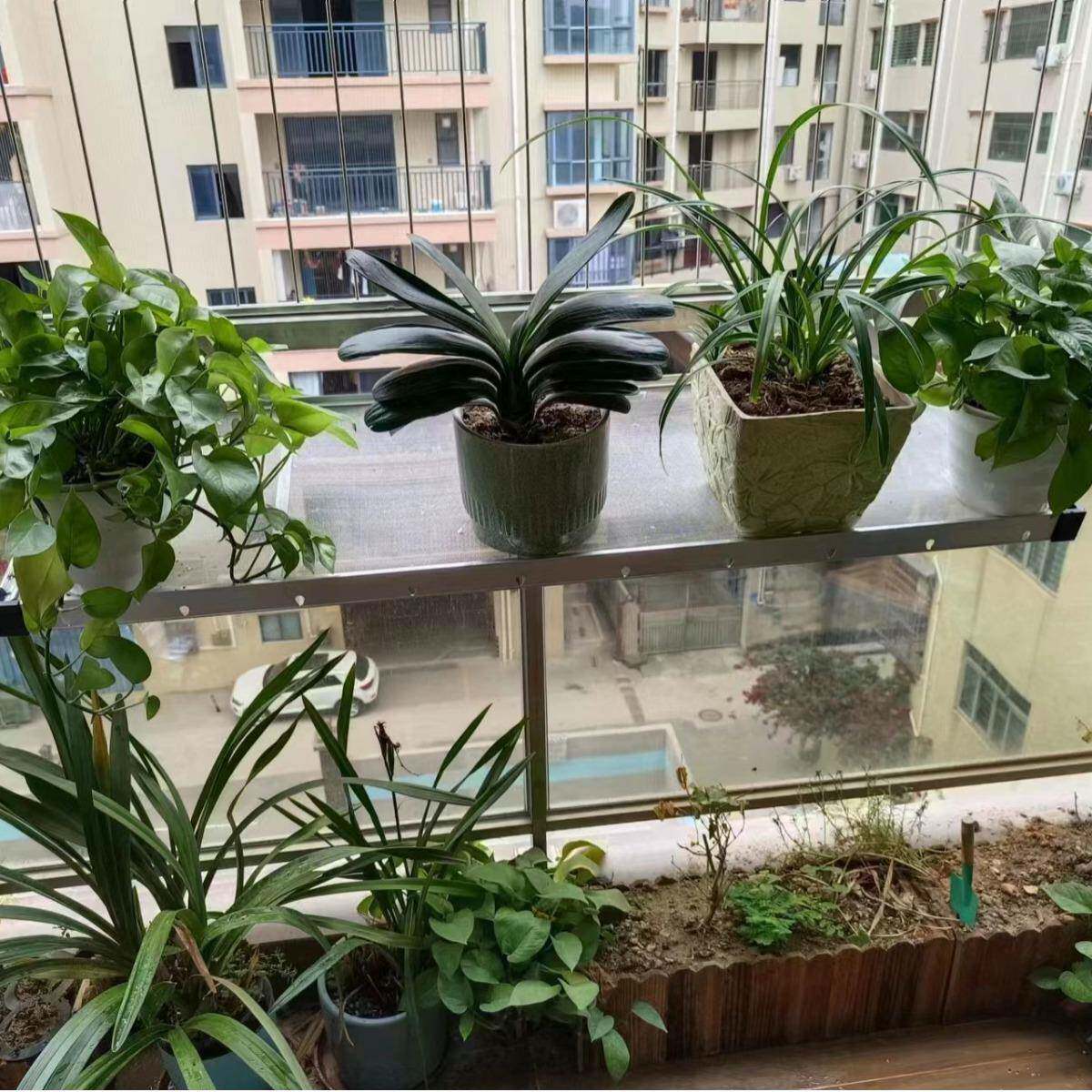 晾晒架多功能晾衣架家用晾晒架晾晾晒网晾晒网架