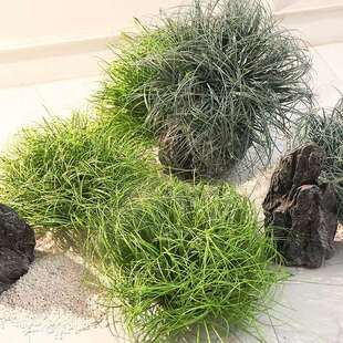 店铺装饰摆件假草堆景观芦苇草灌木草绿植园仿真植物造景仿真草垛