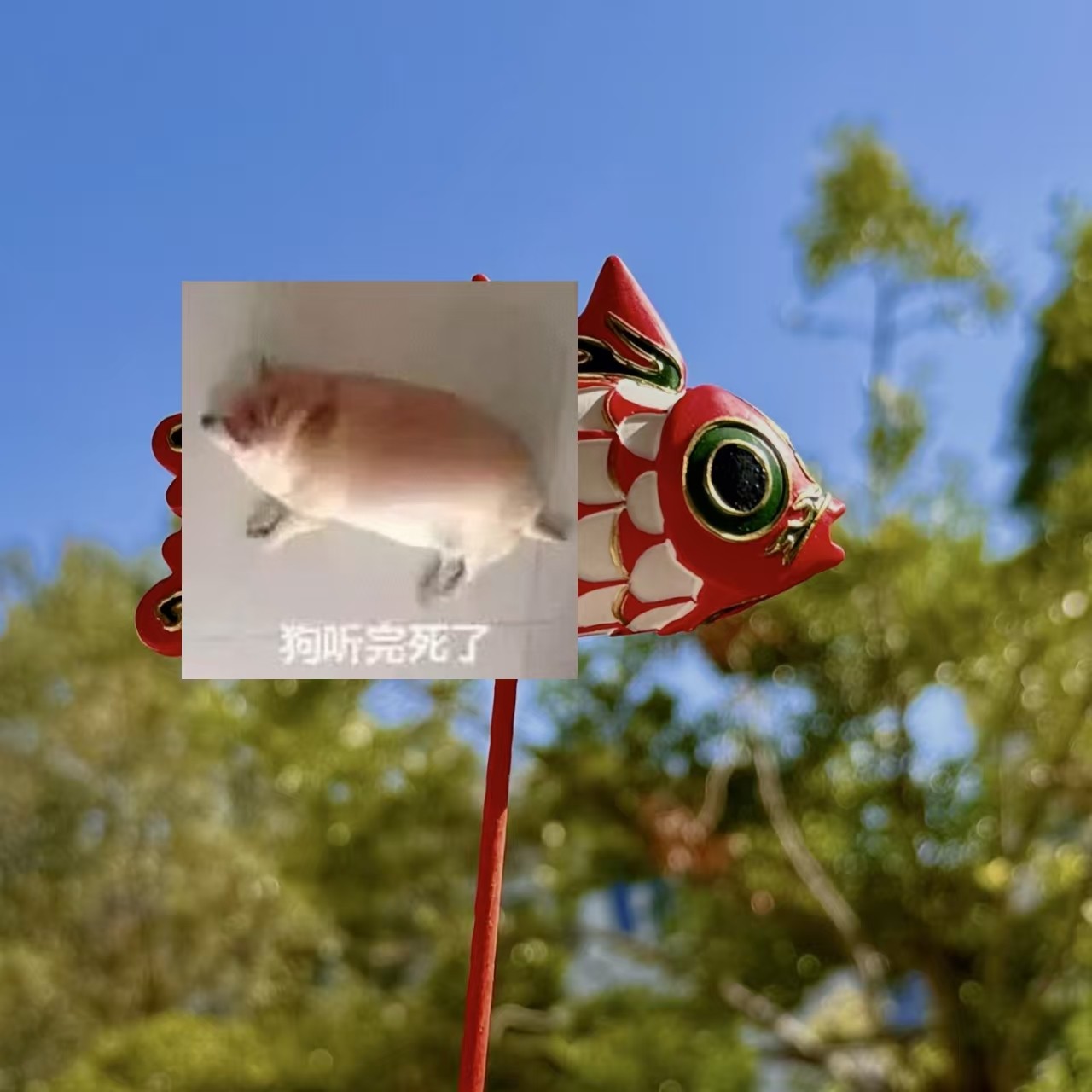 大魚徽州魚灯发光鱼灯冰箱贴国潮手持鱼灯伴手纪念品非遗礼物