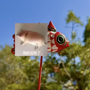 大魚徽州魚灯发光鱼灯冰箱贴国潮手持鱼灯伴手纪念品非遗礼物