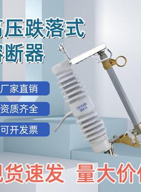 10KV户外高压跌落式熔断器令克保险开关HRW12-15/200A100A跨境