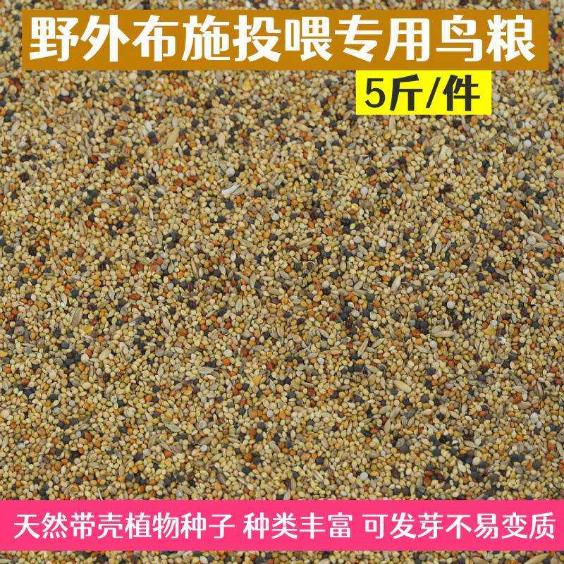 鸟食小型鸟粮野外布施麻雀斑鸠天然投喂专用带壳粮跨境厂家直销