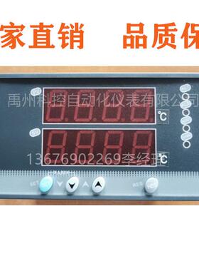 P-80W上润WP-D823/S821-011/022-2323-2H2L双路数显表D423T823