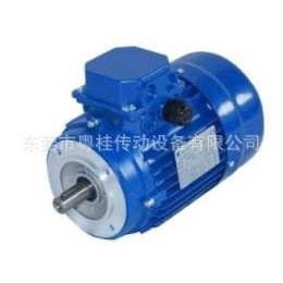 Cantoni 电机3SIEK 80-4B