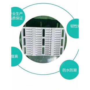 蝎饲养蝎子东亚养殖农场人工盒窝箱泡沫设备养殖工具养殖钳蝎