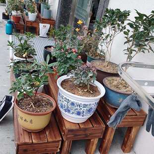 实木台阶脚踏户外花架阶梯碳化防腐木地面阳台多肉花架多层花盆架