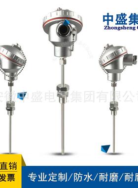 安徽天长热电阻铠装热电阻WZPK-248L1*L2=170*150SUS304