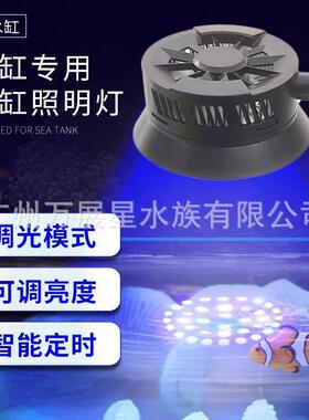 海缸灯led海水鱼缸灯小丑鱼珊瑚专用可调光定时蓝白补光造景夹灯