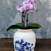 饰品 陶艺花器 店铺软装 青花罐 道具 粗陶做旧冰裂纹做旧陶罐