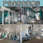 豆粮食除杂去石机麦水稻大振动分层筛选机大谷物78176杂粮商用清